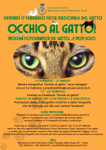 locandina informativa con occhi di gatto tigrato
