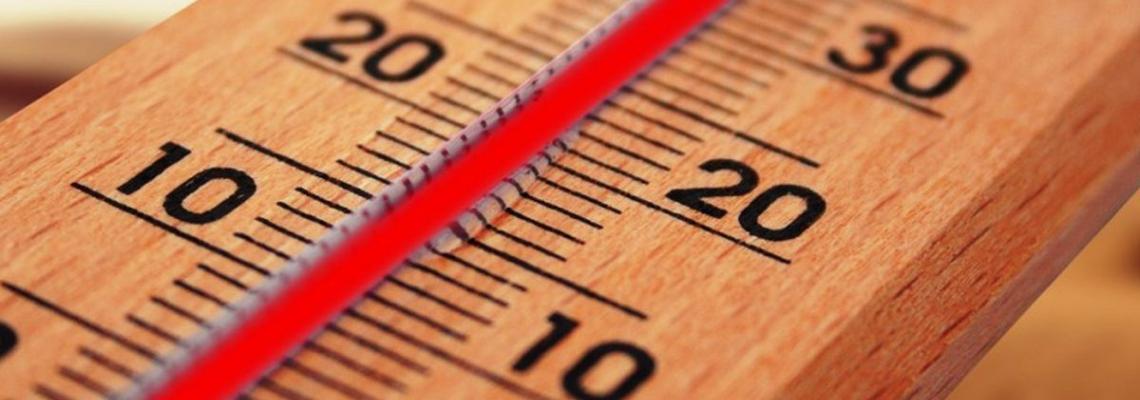 termometro di legno che segna 40 gradi